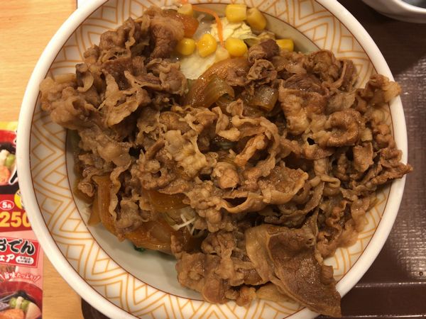 著者が週1で食べてる「すき家の牛丼ライト（大盛り）」。米が入っておらず豆腐なのがミソ